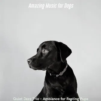 Quiet Jazz Trio - Ambiance for Resting Pups by Amazing Music for Dogs