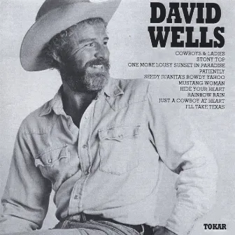 Cowboys & Ladies by David Wells