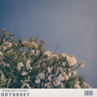 Odysssey by STARLIGHT EXSERT