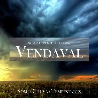 Vendaval by Unknown Artist