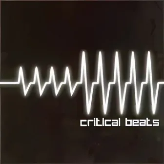 Critical Beats by Dominic Francis Glynn