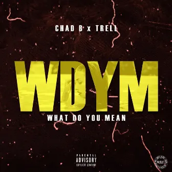 what do you mean [WDYM] by Chad B