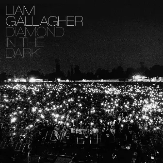 Diamond In The Dark by Liam Gallagher