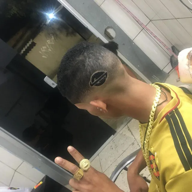 Estilo de cria