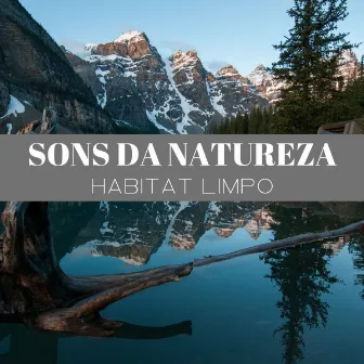 Sons Da Natureza: Habitat Limpo by Meditação Experiência Musical