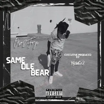 Same Ole Bear by Oso2Fye