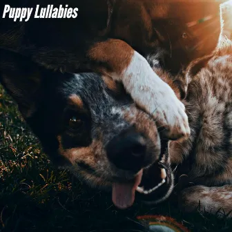 Puppy Lullabies by Música para Leer