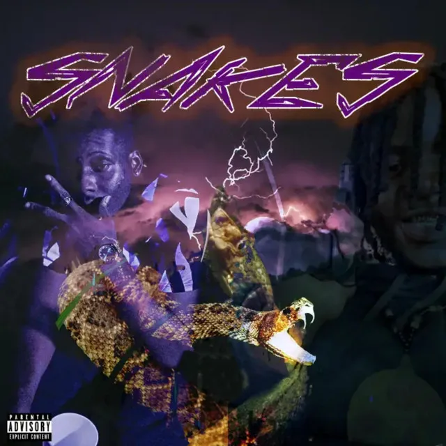 SNAKES