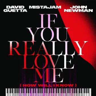 If You Really Love Me (How Will I Know) by MistaJam