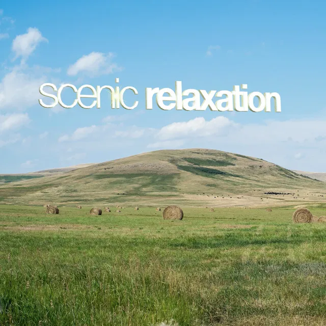 Scenic Relaxation