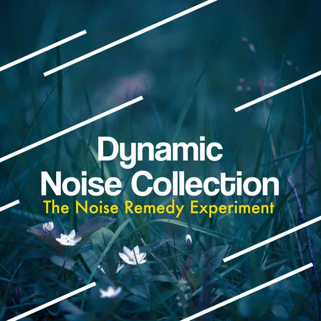 Dynamic Noise Collection