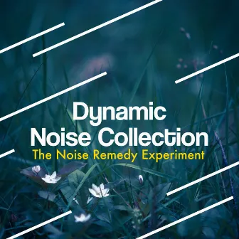 Dynamic Noise Collection by Unknown Artist