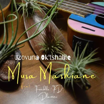 Uzovuna Ok'tshalile by Musa Mashiane