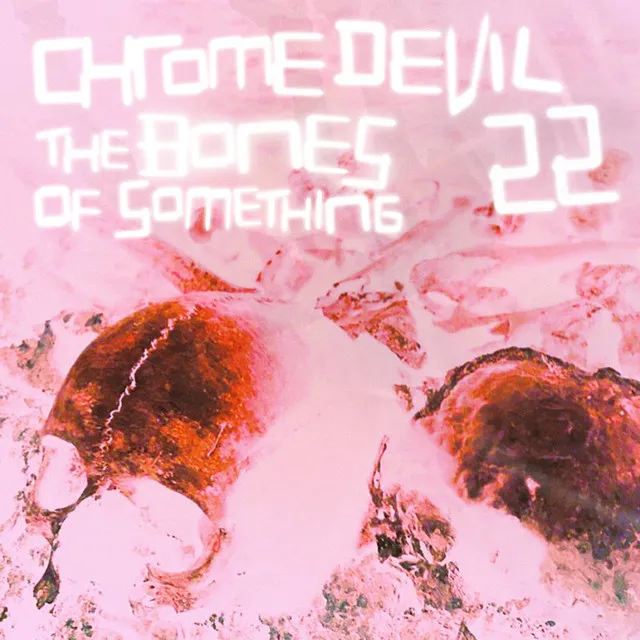 The Bones Of Something