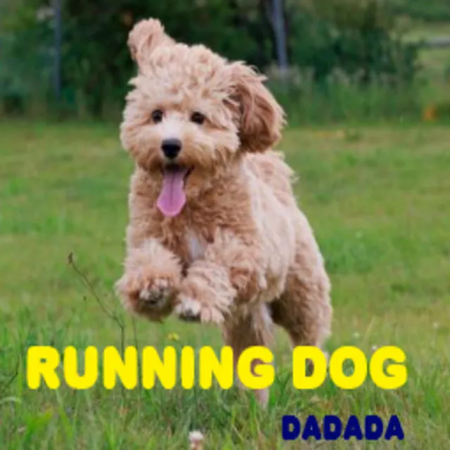 Running dog