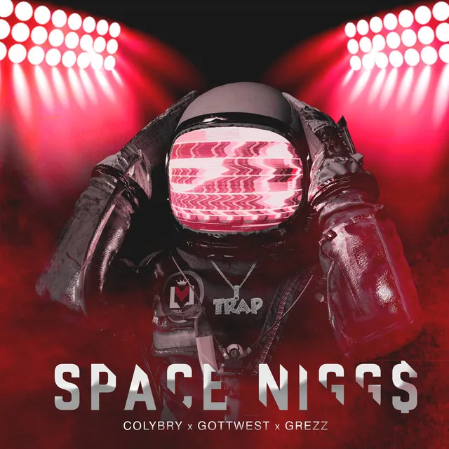 Space Niggs