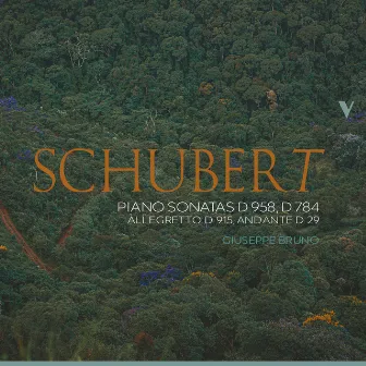 Schubert: Piano Sonatas D. 958, D. 784 & Other Works by Giuseppe Bruno