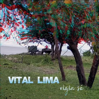 Vigia Só by Vital Lima