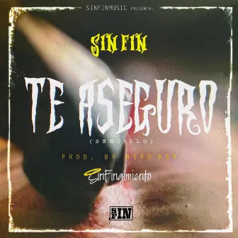 Te Aseguro (Sencillo) by Sin Fin