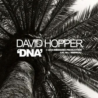 DNA by David Hopper