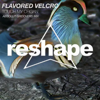 Touch My Organ by Flavored Velcro