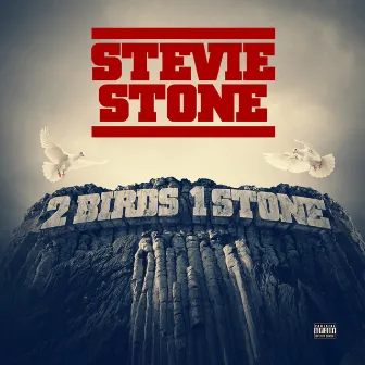 2 Birds 1 Stone (Deluxe Edition) by Stevie Stone