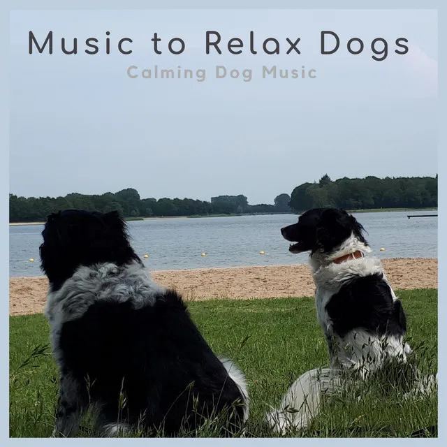 Music-to-Relax-Dogs