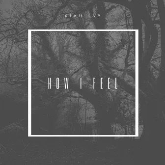 How I Feel by Siah Jay