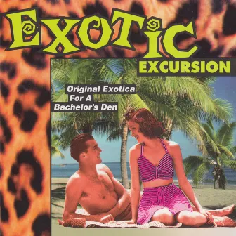 Exotic Excursion by Robert Drasnin