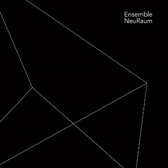 Ensemble Neuraum by Bruno Strobl