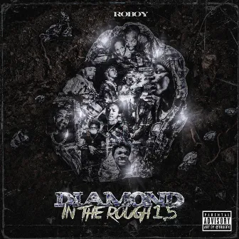 Diamond in the Rough 1.5 by Roboy