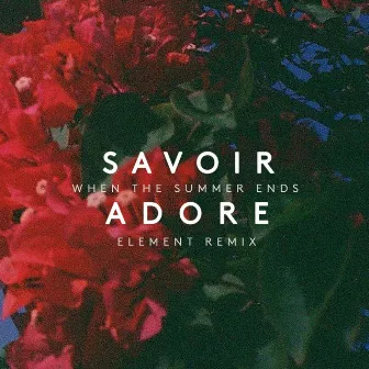 When the Summer Ends (Element Remix) by Savoir Adore