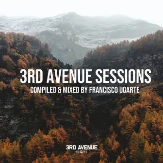 3rd Avenue Sessions (DJ Mix) by Francisco Ugarte