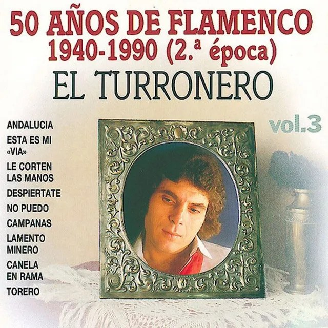 El Turronero