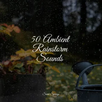 50 Ambient Rainstorm Sounds by Kings of Nature