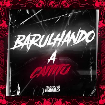 Barulhando a Caititu by MC Ray