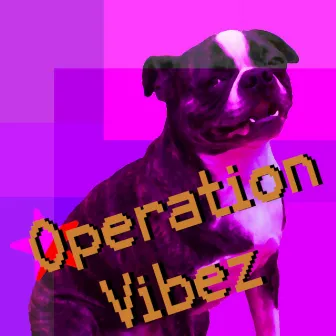 Operation Vibez by Simply Josiah