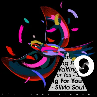 Waiting for You by Silvio Soul