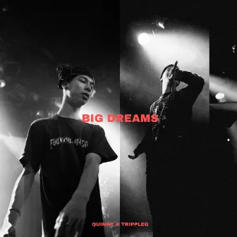 BIG DREAMS by Quinny