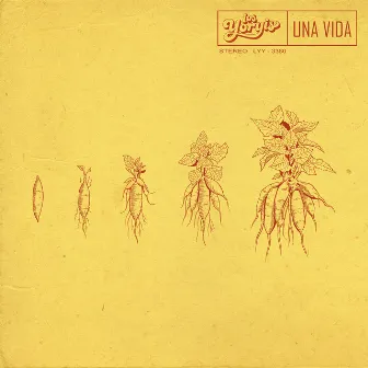 Una Vida by Los Yoryis