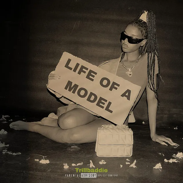 Life of a Model