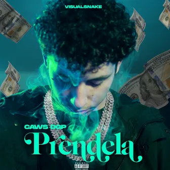 Prendela by Caws DGP