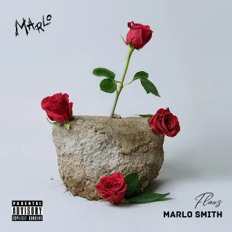 Flaws by Marlo Smith