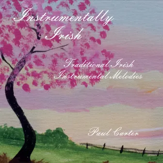 Instrumentally Irish by Paul Carter