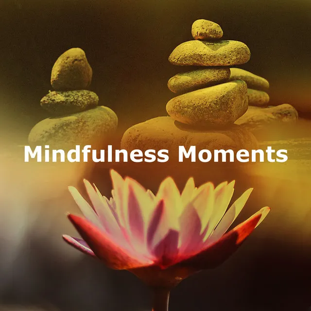 Mindfulness Moments