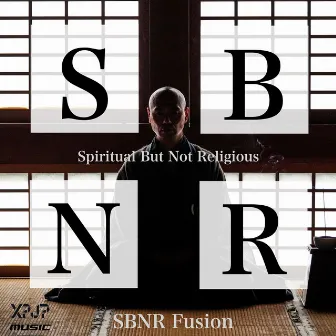 SBNR fusion by nabeken