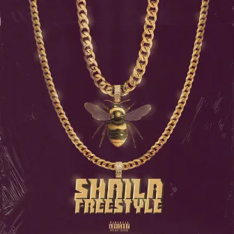 Shaila freestyle by Kasno kenza