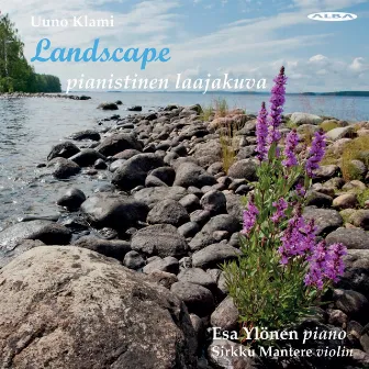 Landscape: Pianistinen laajakuva by Unknown Artist