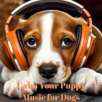 Calm Your Puppy: Music for Dogs - Easing Separation Anxiety, Therapeutic Sounds, Deep Sleep, Security, Relaxation by Sleepy Dogs!