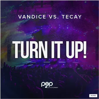 Turn It Up! by Vandice